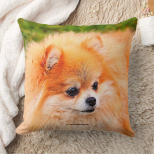 Almofada Cão adorável de Pomeranian