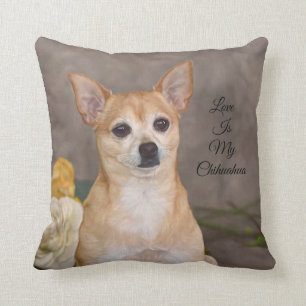 Almofada Cão Cachuhuahua Retrato Pet Floral Arte