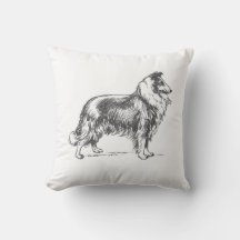 Cão Collie