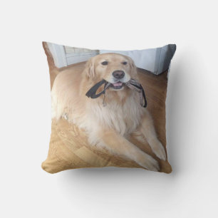 Almofada cão com trela