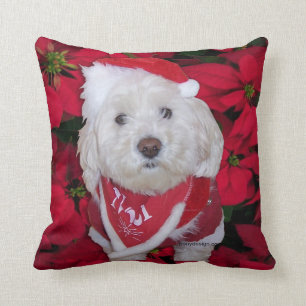 Almofada Cão de Bichon Frise do Natal