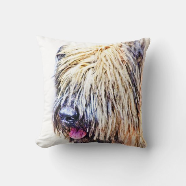 Almofada Cão de Briard (Frente)