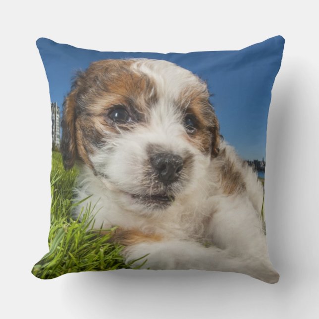 Almofada Cão de filhote de cachorro bonito (Shitzu) (Frente)