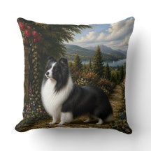 Cão de Ovelha Shetland Renascença