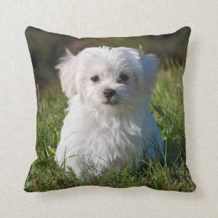 Almofada Cão-de-porco branco-claro-malvado