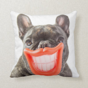 Almofada Cão de sorriso das imagens   A de Getty