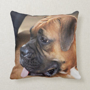 Almofada Cão do pugilista