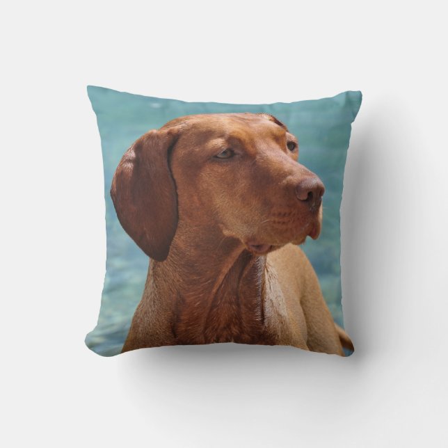 Almofada Cão Magyar Vizsla (Frente)
