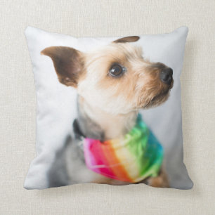 Almofada Cão Orgulho gay Yorkshire Terrier