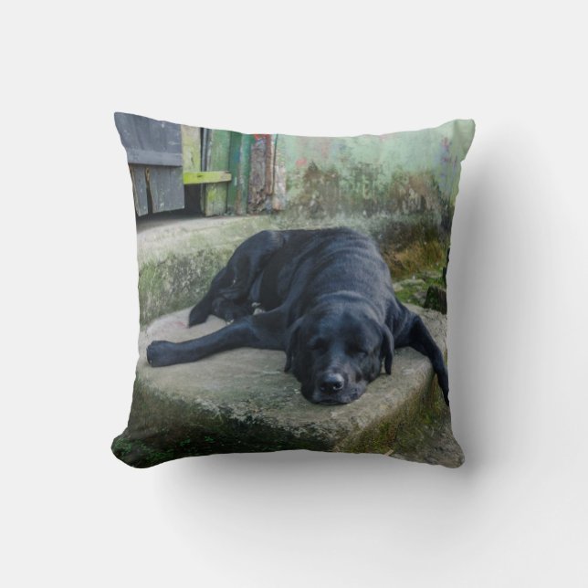 Almofada Cão sonolento (Frente)