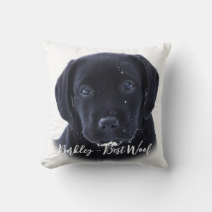 Almofada Cãozinho de Neve - Cãozinho de Labrador - Labrad