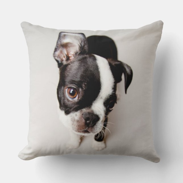Almofada Cãozinho Edison Boston Terrier. (Frente)