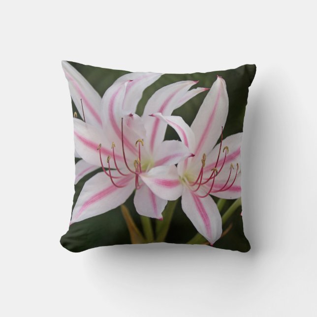 Almofada Cape Lily Travesseiro decorativo (Frente)