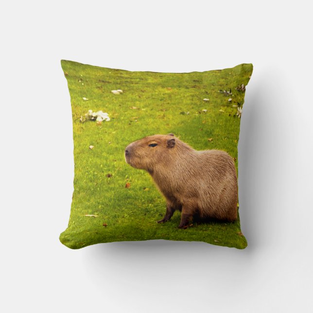 Almofada Capivara (Frente)
