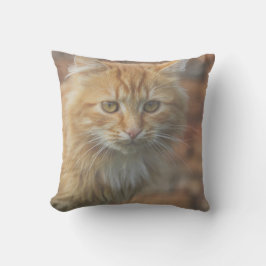 Almofada Cara de Gatinho de Gato Ruivo Funky Fofa