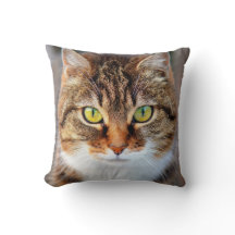 Cara de gato com olhos verdes e amarelos fofos