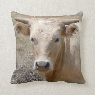 Almofada Cara ocidental bonito da vaca do charolês