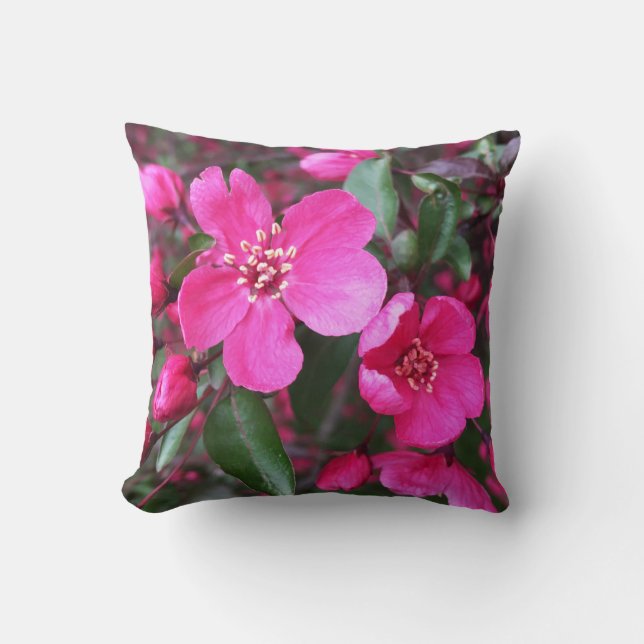 Almofada Caranguejo-Flor Rosa (Frente)