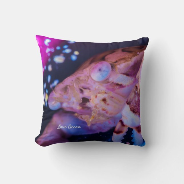 Almofada Caranguejo-Nadador (Lissocarcinus laevis Miers, 18 (Frente)