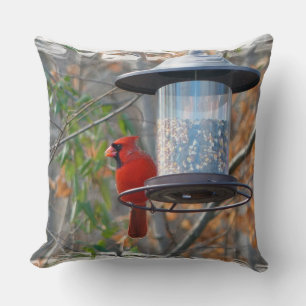 Almofada Cardeal masculino