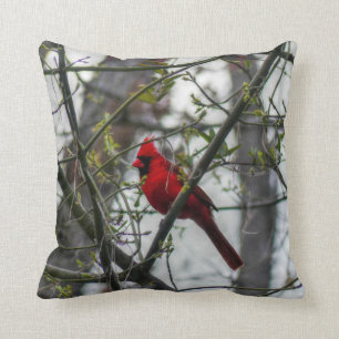 Almofada Cardinal