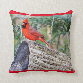 Almofada Cardinal Crimson