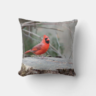 Almofada Cardinal Woodland