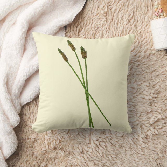 Almofada Carl Doddy (Cobertor)