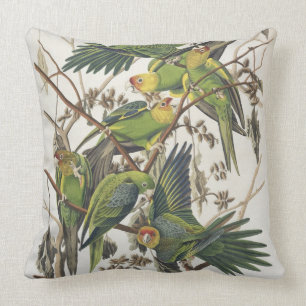Almofada Carolina Parakeet, de 'Birds of America', 1829