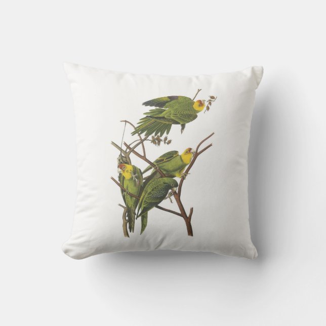Almofada Carolina Parakeet por Audubon (Frente)