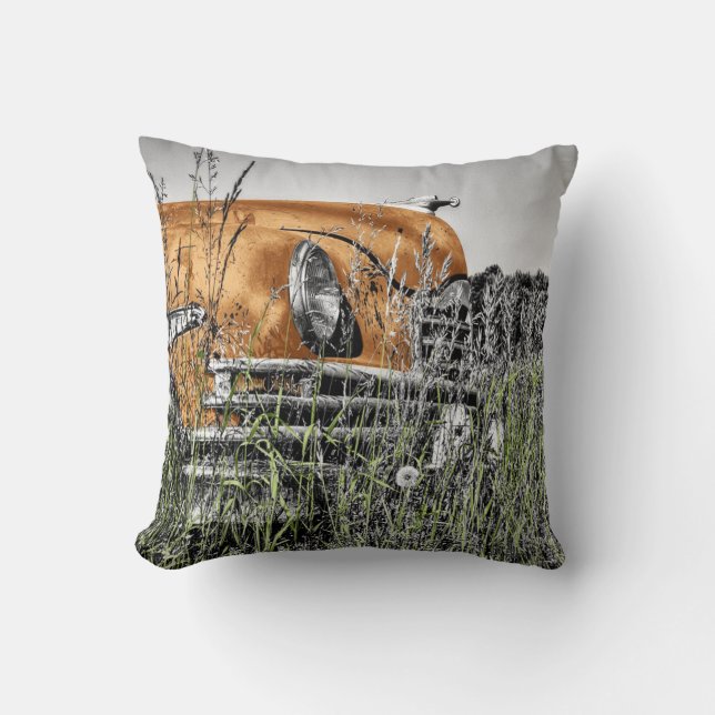 Almofada Carro no meio das ervas daninhas (Frente)