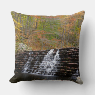 Almofada Cascata em Laurel Hill State Park I
