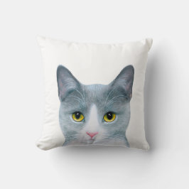 Almofada Cat 611
