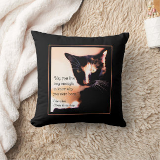 Almofada Cat Messenger