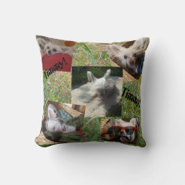 Almofada Cattails e cão bonito