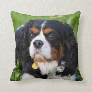 Almofada Cavaleiro Tricolor Rei Charles Spaniel