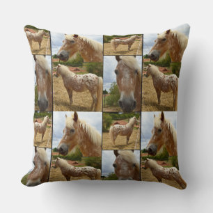 Almofada Cavalo Appaloosa, Alcatrão De Lâmpada De Foto.