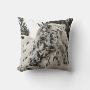 Almofada Cavalo bonito do Appaloosa, ocidental