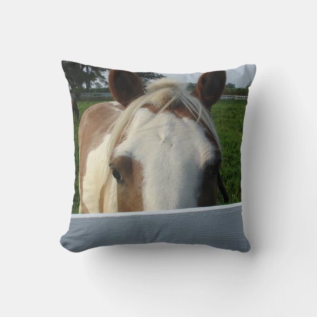 Almofada Cavalo de Travesseiro Espia (Frente)