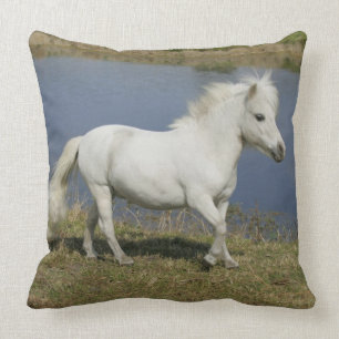 Almofada Cavalo diminuto que funciona perto da água