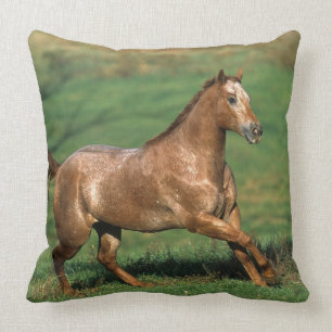 Almofada Cavalo do Appaloosa que funciona no campo gramíne