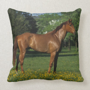 Almofada Cavalo do puro-sangue nas flores