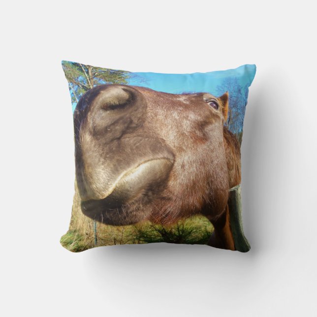 Almofada Cavalo marrom rosto engraçado céu azul turquesa (Frente)