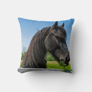 Almofada cavalo preto do frisão