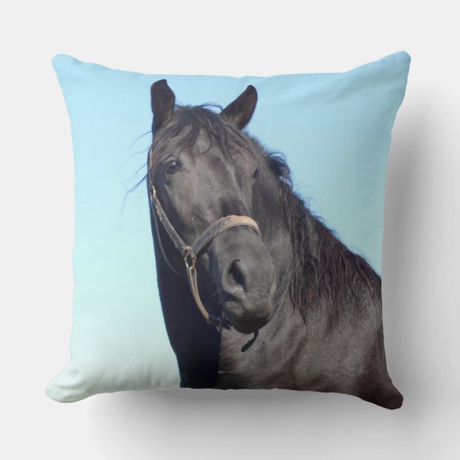 Almofada Cavalo preto e o céu azul (Frente)
