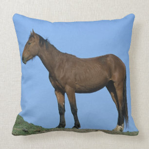 Almofada Cavalo selvagem do mustang