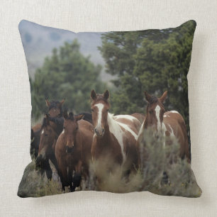 Almofada Cavalos selvagens 2 do mustang