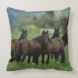 Almofada Cavalos selvagens 3 do mustang