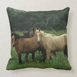 Almofada Cavalos selvagens 4 do mustang