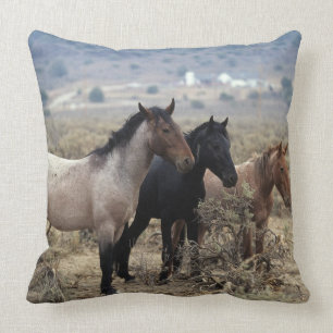 Almofada Cavalos selvagens 5 do mustang
